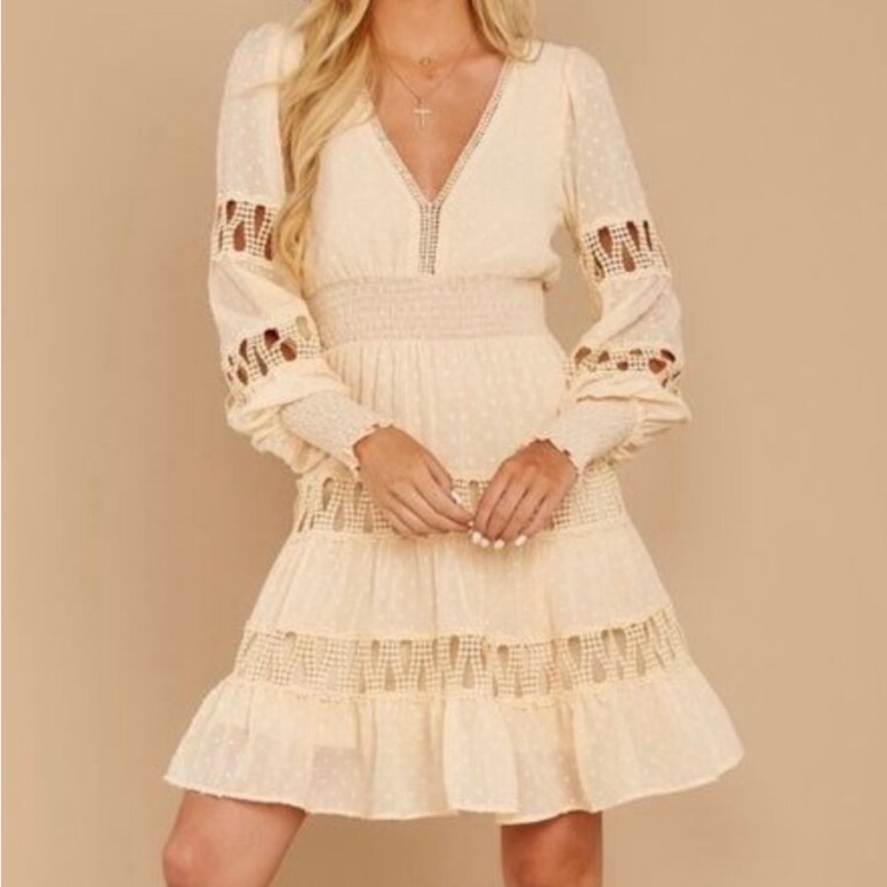 Boutique- Champagne & Strawberry Dress